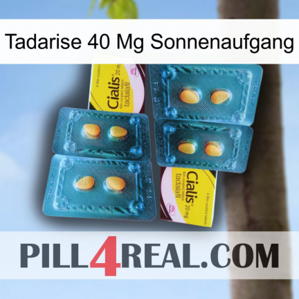 Tadarise 40 Mg Sunrise cialis5
